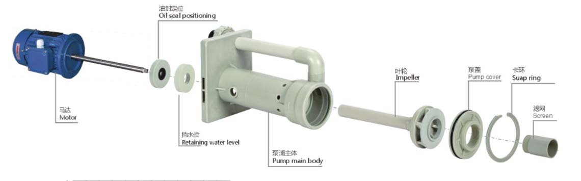 PT立式泵分解图