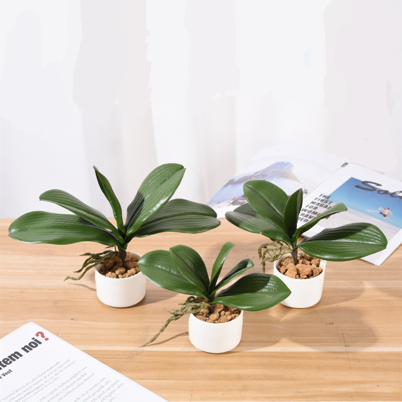 QQ截图20191204213420_副本