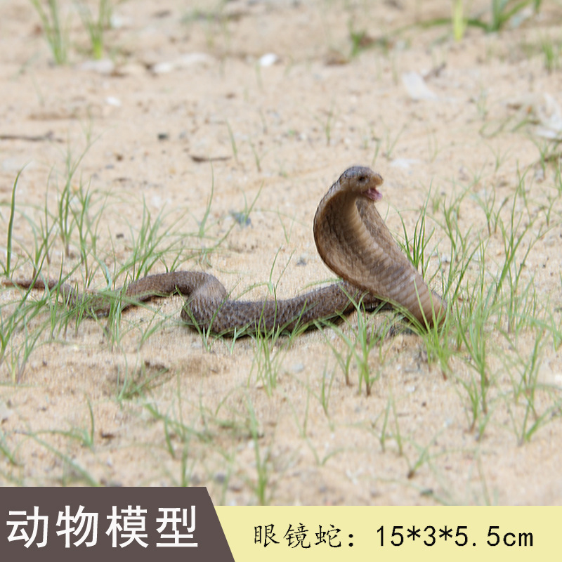 外貿爬行動物蛇模型塑膠仿真眼鏡蛇毒蛇兩棲整蠱玩具