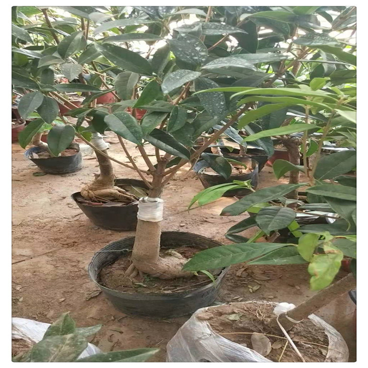 微信图片_20191014105605