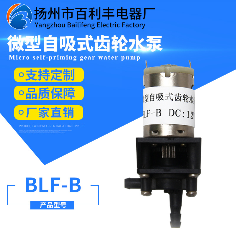 供应微型齿轮式水泵 智能马桶水泵 喷雾器泵BLF-B