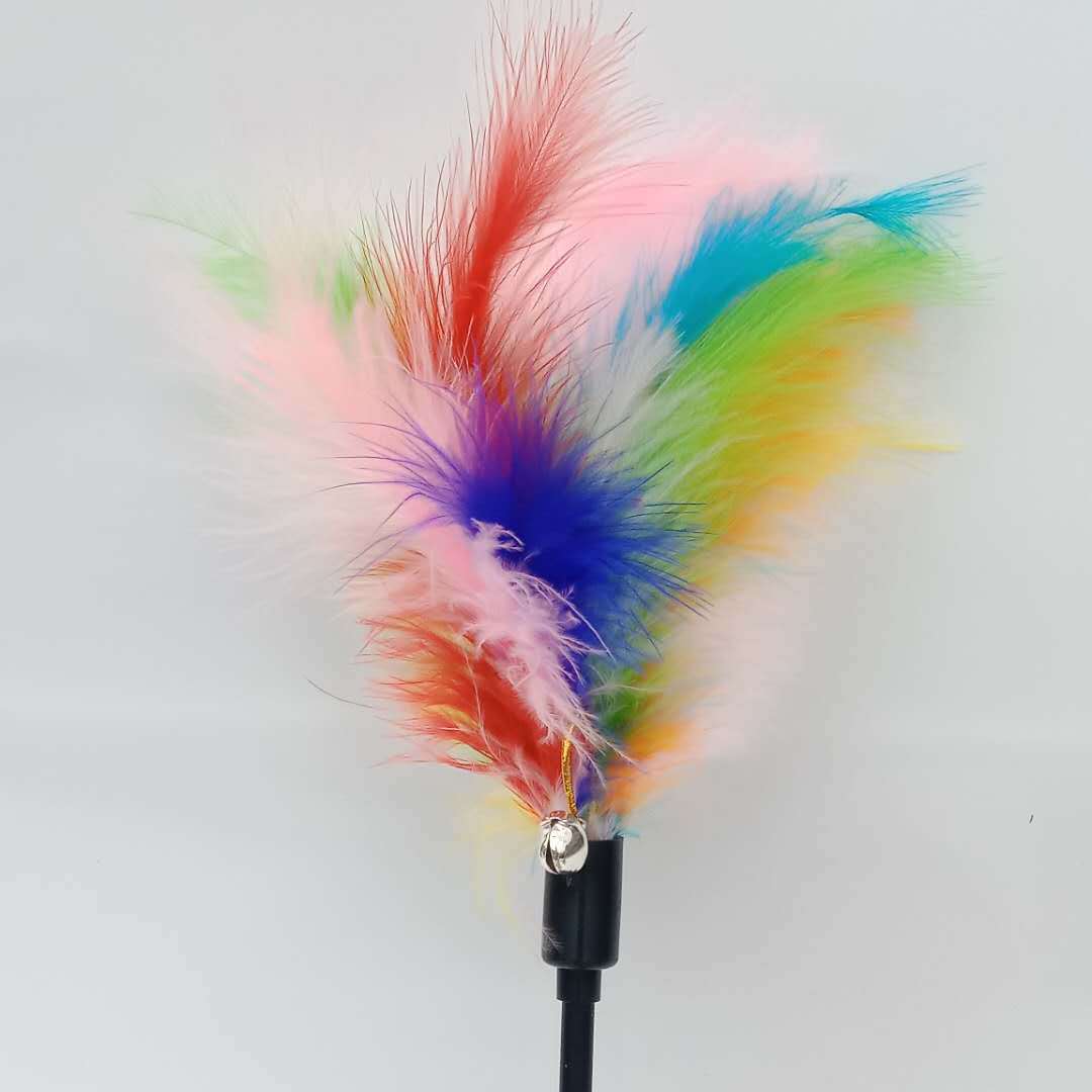 微信图片_20190406211639