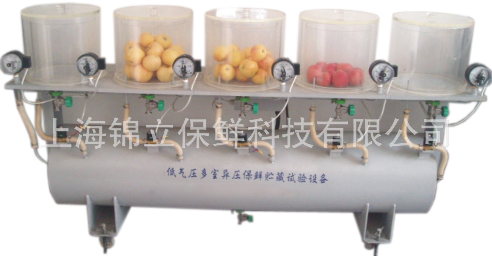 实验型真空减压贮藏试验机  大专院校试验用设备