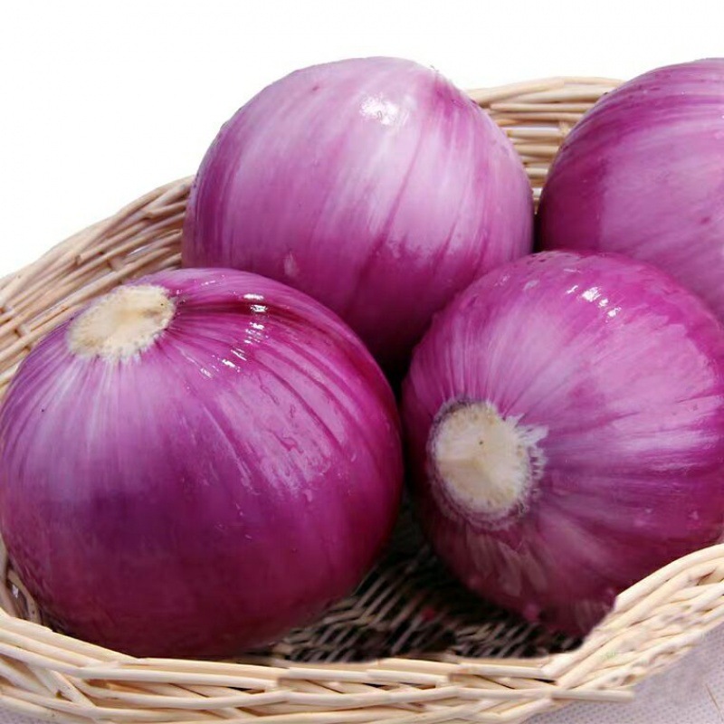 【5斤裝】現挖現發新鮮紫皮洋蔥紅皮圓洋蔥頭農家自種蔬菜批發