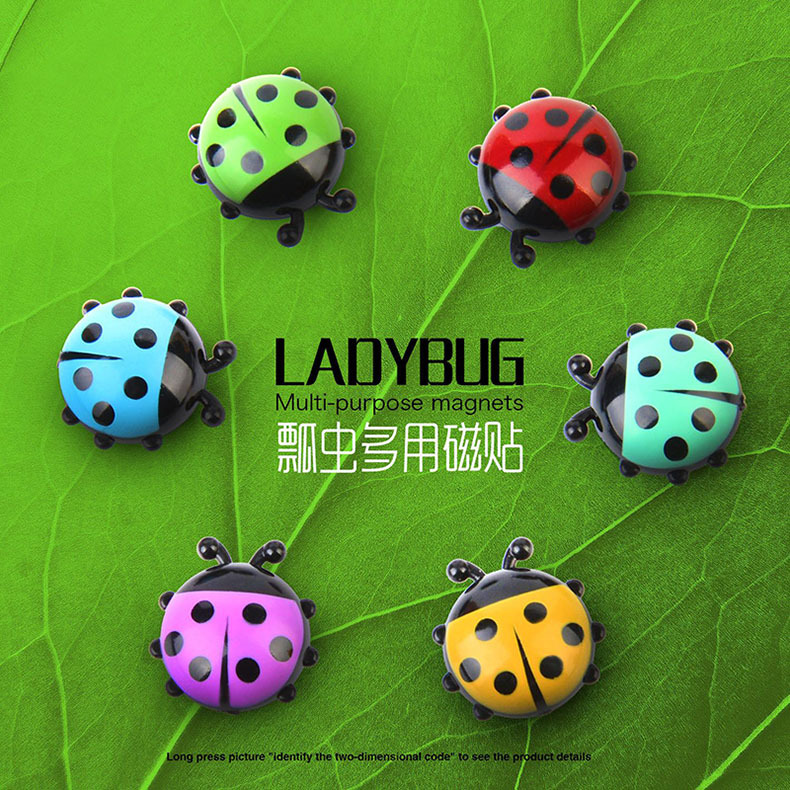 RB238瓢虫磁贴03.jpg