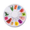 Organic plant lamp for manicure, set, nail polish, nail decoration, 12 colors, 24 pieces