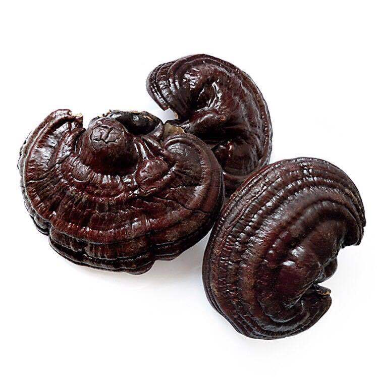 Dried Reishi Mushroom Slices Purple and Red Lingzhi from Jilin for Herbal Decoctions 500g quality and texture