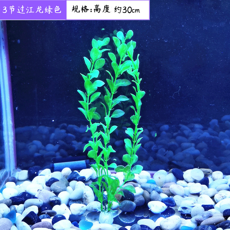3节过江龙绿色