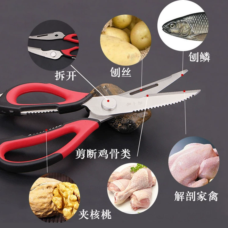 万能 Universal powerful food scissors for home use, J20110100