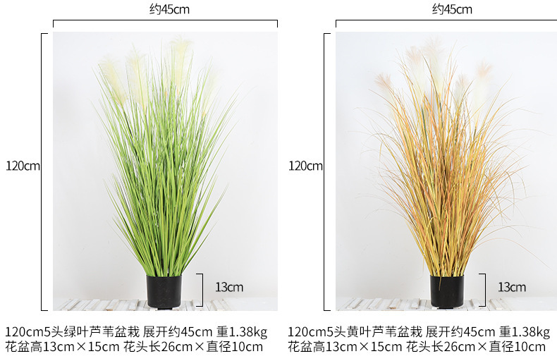 11834023471_194888644