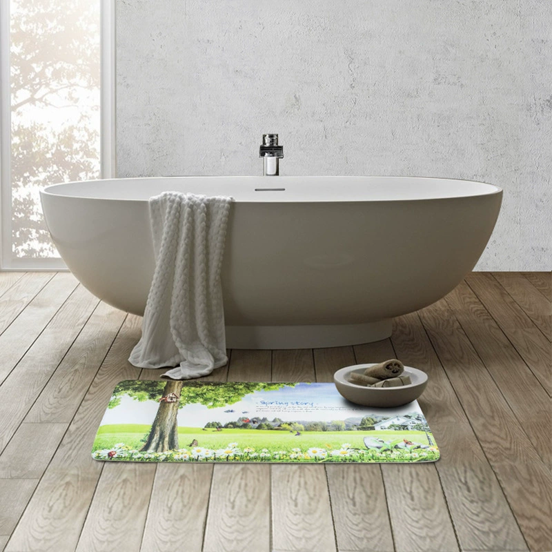 Comfortable soft carpet for home use, doormat, water absorbent