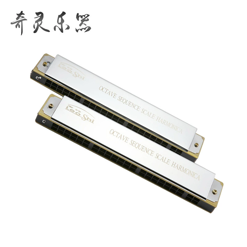 HLIO SHI old time 22-hole accent harmonica performance grade harmonica factory wholesale supply