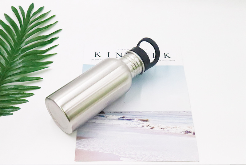 Stainless Steel Water Bottle