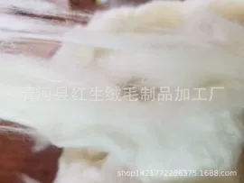 动物毛鬃;纺织填充物;蚕茧、蚕丝