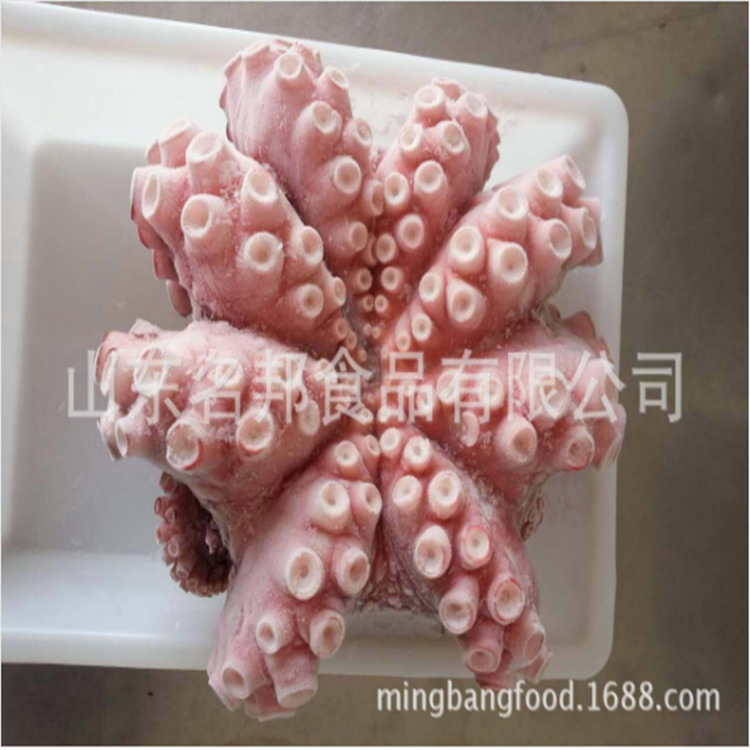 山东冷冻海鲜 八爪鱼 八爪章鱼 翻花章鱼 水产品批发|ru