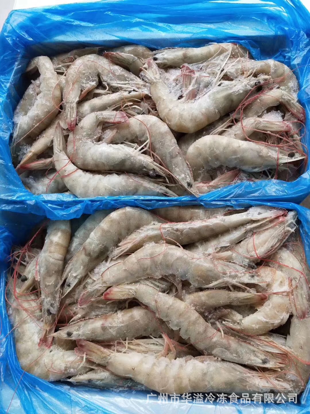 冷冻进口厄瓜多尔白虾30-40 自助餐饮烧烤商用 青岛海水盐冻对虾-阿里巴巴