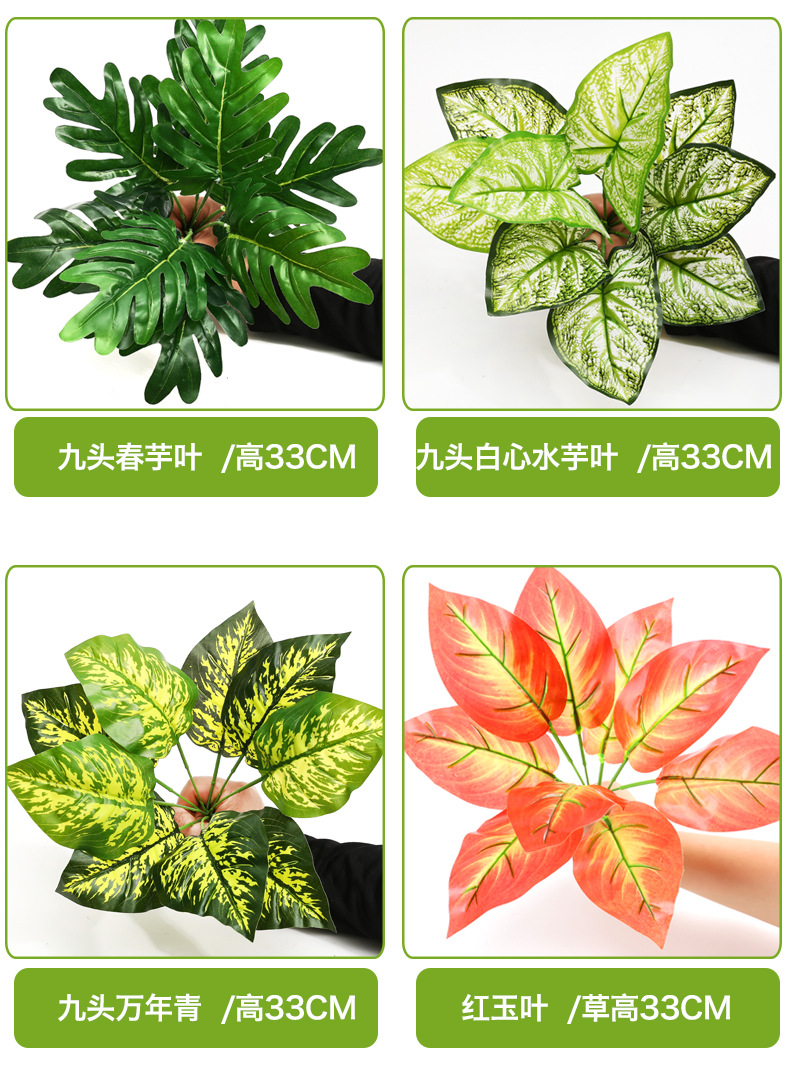 小植物_06.jpg