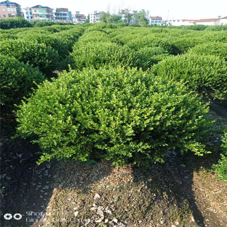 微信图片_20190924001146