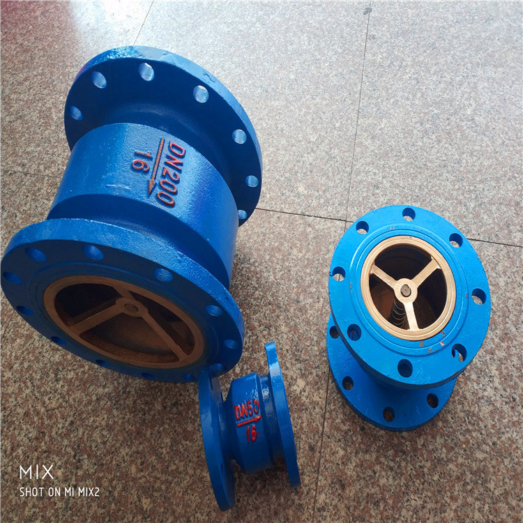 直供水利限流止回阀DN100 HC41X10 水用消声止回阀 天然气止回阀