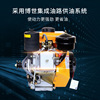 New products 168F Air-cooled diesel engine Single Cylinder 4 hp small-scale Diesel engine Water pump Power Threshing machine Power