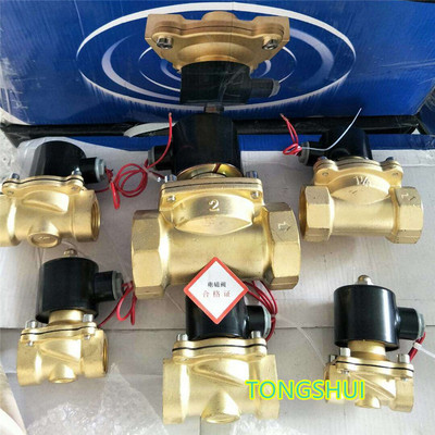 常閉黃銅電磁進水閥220v24v銅線圈DN8DN10DN1 DN20DN25DN32~DN50