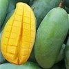 Vietnam Qingmang 89 10 Large fruit On behalf of