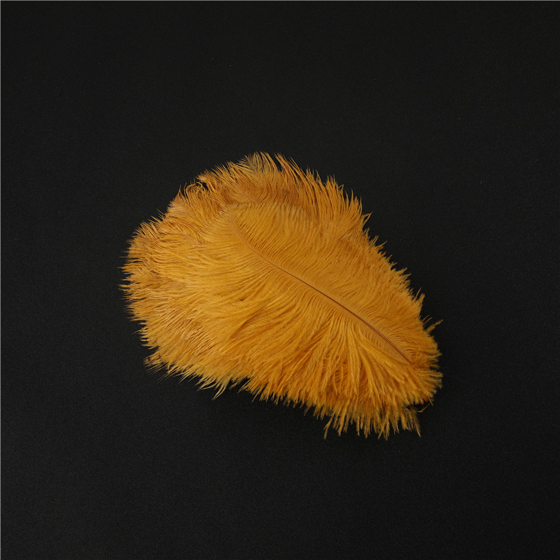 Capture One Catalog14604