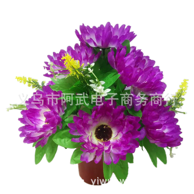 ee6d1aea36d583b4c0c20cff3bb951