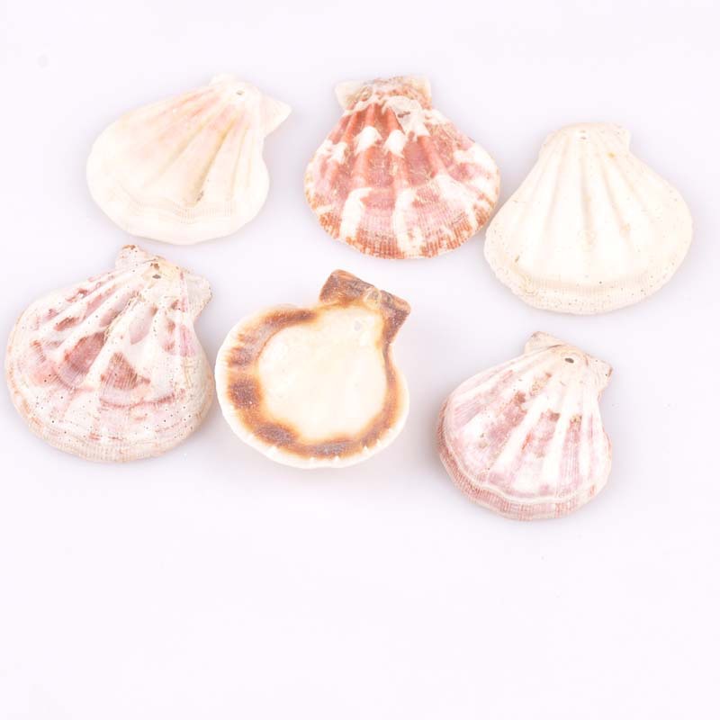 HTB1SqTWfL5TBuNjSspmq6yDRVXal