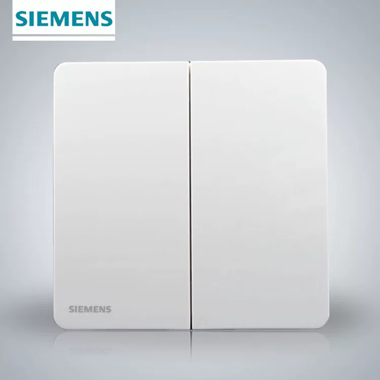 Переключатель Siemens Rui Zhi Zhi 86 типа 86 двойной открытый двойной управляющий переключатель проектная настенная панель