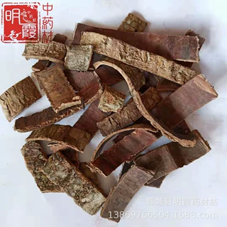 明霞药材  供应【杜仲】1000克批发零售 供应中药材
