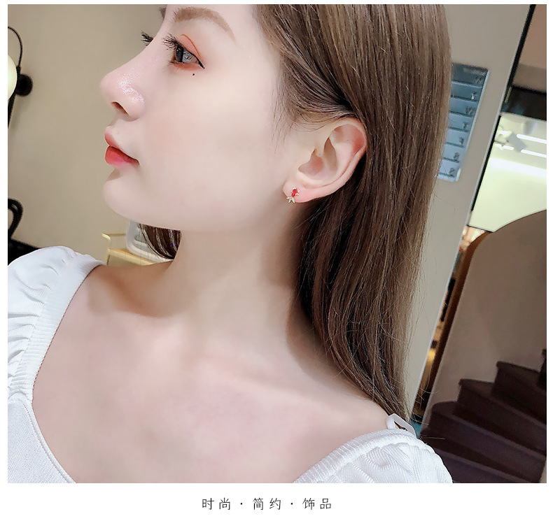 Winter New Year Six-piece Earrings Women Simple Fashion Earrings display picture 11