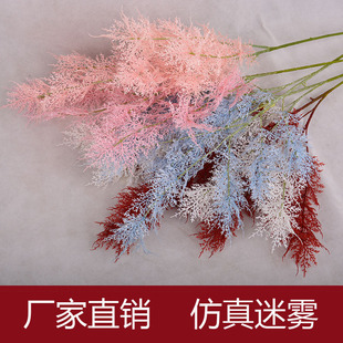 cFڡ 6 10 Y쾰FPβݻc