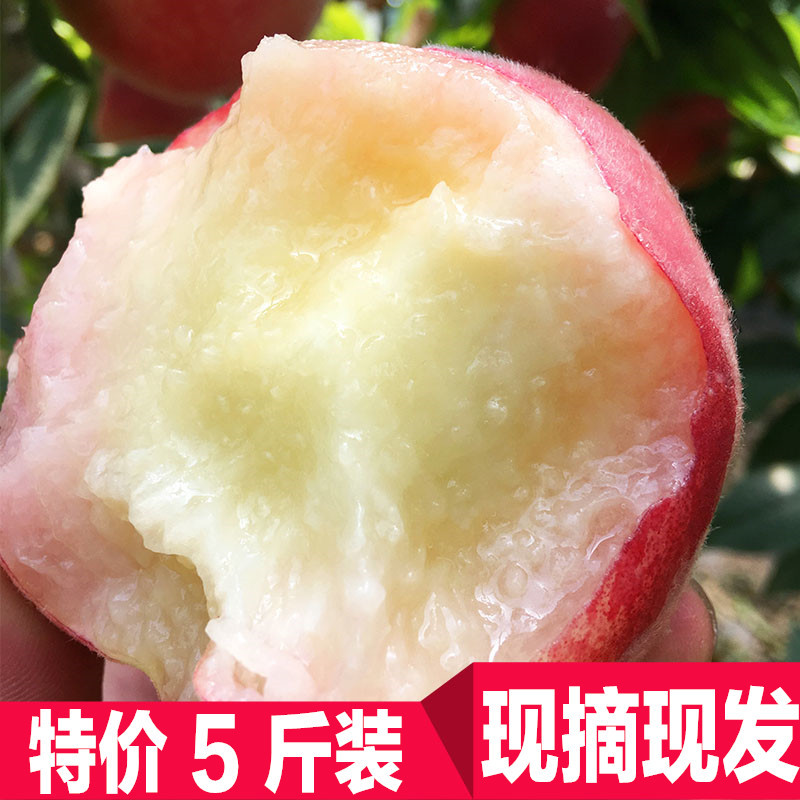 现货现摘水蜜桃水果新鲜大脆桃子批发5斤包邮应季时令毛桃非油蟠