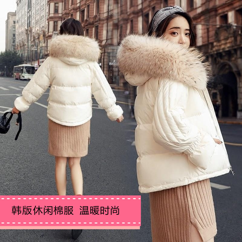 棉服女短款2019新款面包服女士棉衣韩版ins宽松棉袄冬季学生外套