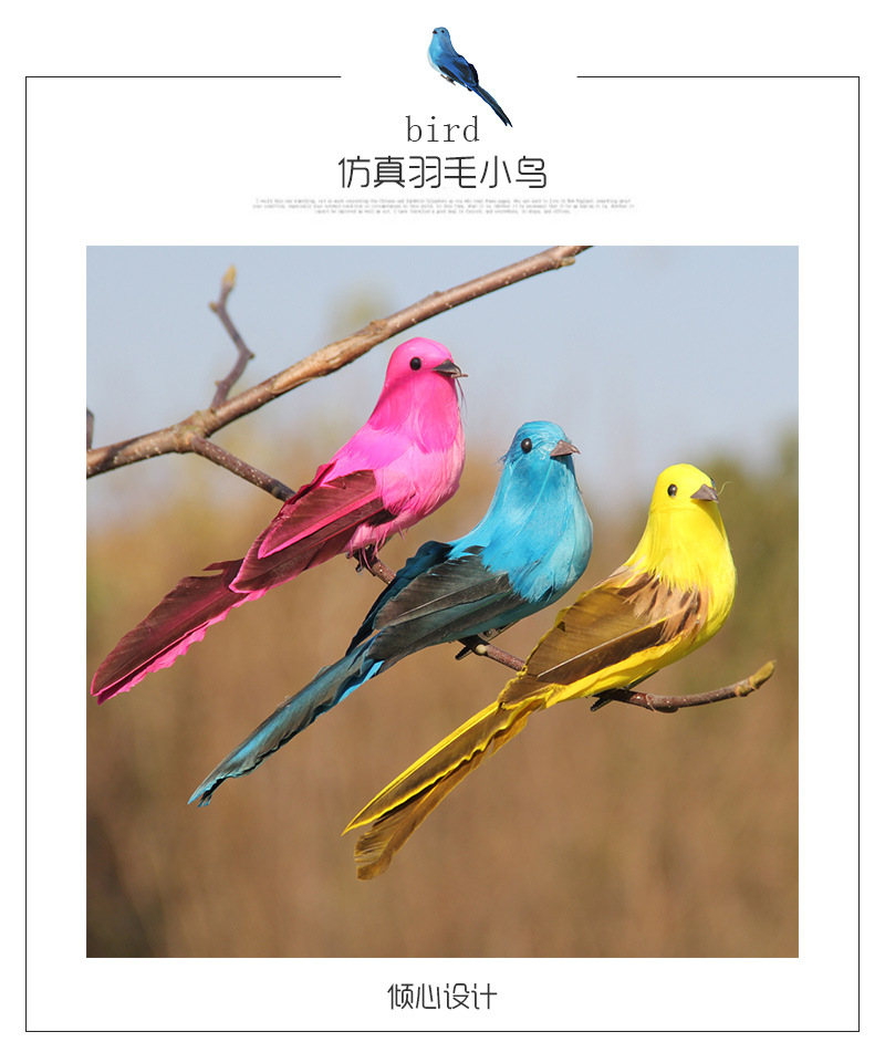 小鸟_01.jpg