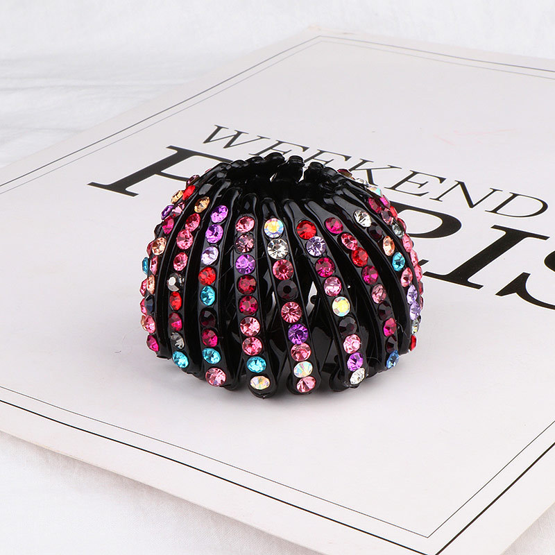 C4中号鸟巢混彩色