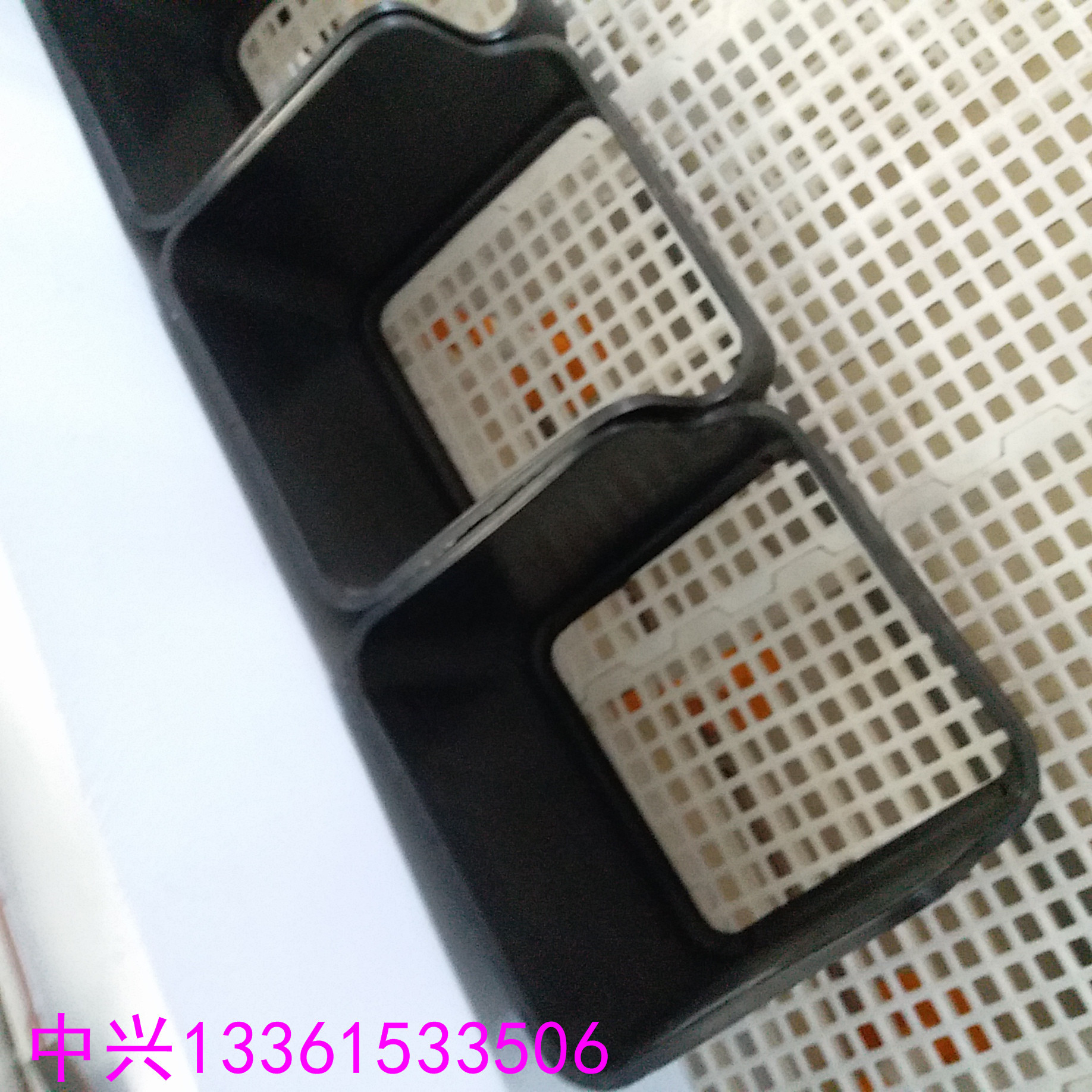 鸭场集中收蛋窝 种鸭产蛋窝 蛋鸭下蛋窝