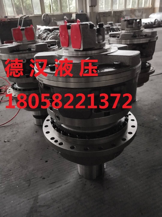 意大利SAI GM3-600系列内五星液压马达