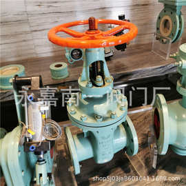 法兰陶瓷闸阀 Z41TC-16C DN125 灰渣陶瓷闸阀 参数图片 报价供应