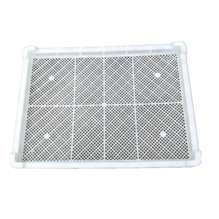 塑料海鲜烘干盘 810*590*75mm中药晾晒盘 冷冻筐单冻器