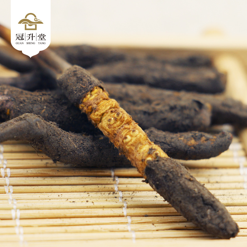 产地直销2019年青海果洛新鲜虫草 西藏那曲青海玉树新鲜冬虫夏草|ms