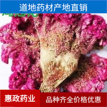 ������ș���u�ڻ��u�ٻ��u�ǘ��u���^�ρ��ٰ��u�ڻ�����ă�