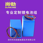 批发锂电池组12V/48V/60V采摘机电池灌溉机电池电动车充电电池