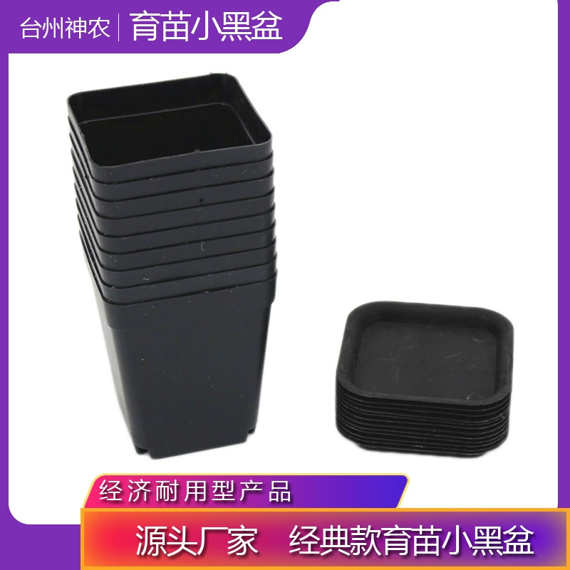 Оптом утолщенные горшки для выращивания мясистые маленькие квадратные горшки пластиковые горшки квадратные зеленые Садоводство маленький черный квадрат маленький цветной квадрат