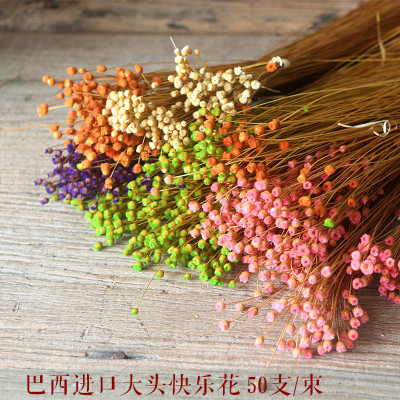 Long-term supply Little Star Flower Happy Flowers shot prop Happy Flowers natural Art Dried flowers Happy Flowers