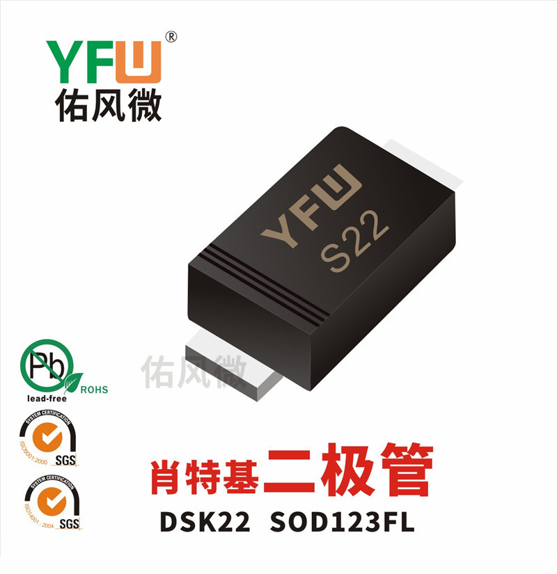 DSK22 SOD123FL 贴片肖特基二极管印字S22 YFW佑风微品牌
