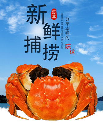 Yangcheng Lake hairy crabs 4.0 Both