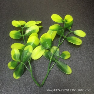 2������� ����ֲ��������� ����ˮ�ݽz����� ��ƺˮ�����