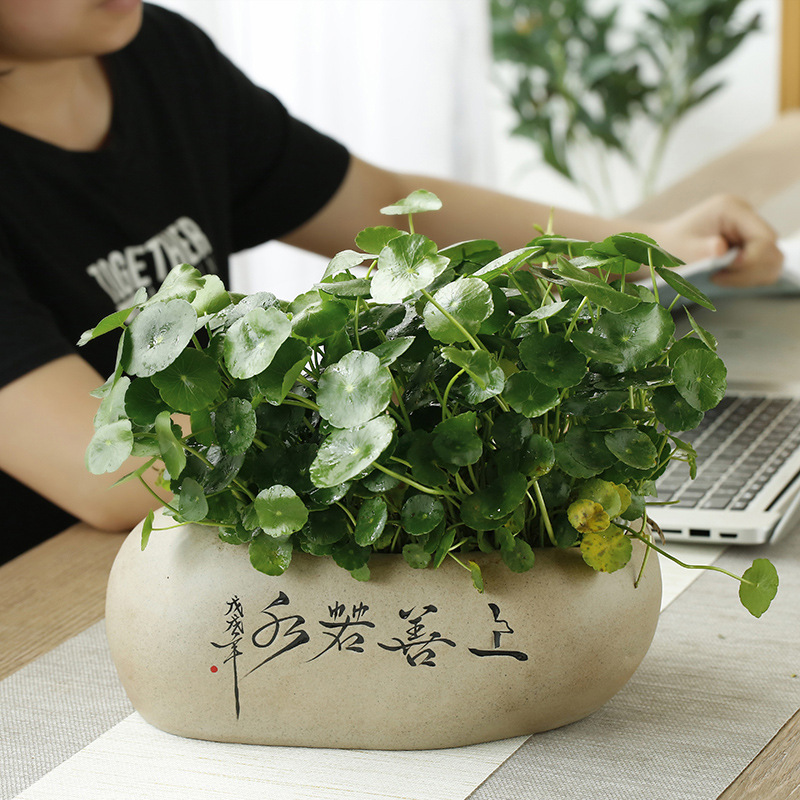 Ceramic pot container water fairy large flower pot non-hole copper grass stoneware bowl lotus plant tea washing fish tank can be customized Ceramic pot container water fairy large flower pot non-hole copper grass stoneware bowl lotus plant tea washing fish tank can be customized
